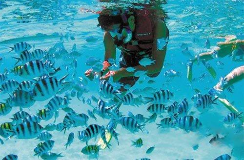 招聘会:2024就业援助月海口专场 就业驿站持续提供优质岗位